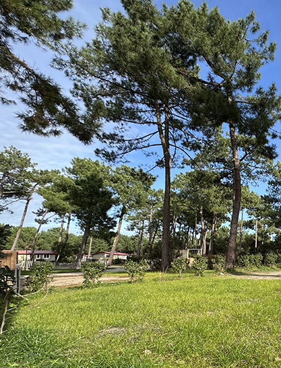 Sanitaires des emplacements Grand Confort pour tente du camping Montacabana à Montalivet en Gironde