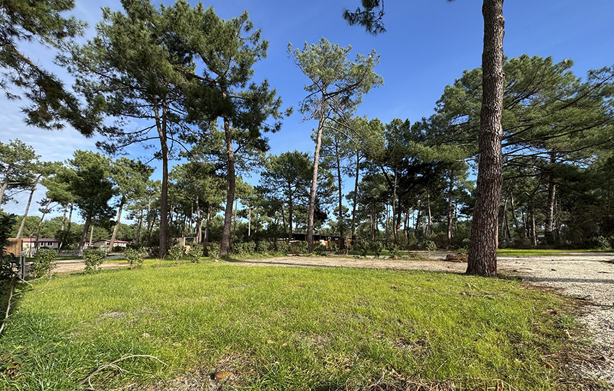 Lodges équipées de grandes terrasses en bois