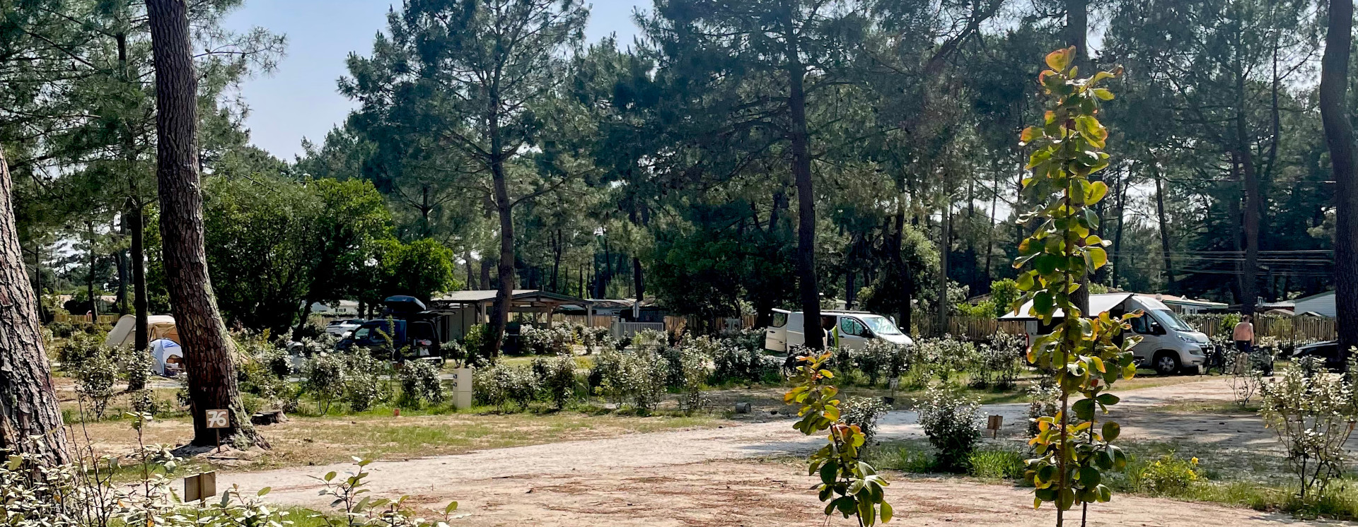 Vista de las parcelas de tiendas del camping Montacabana en Montalivet, naturaleza y confort