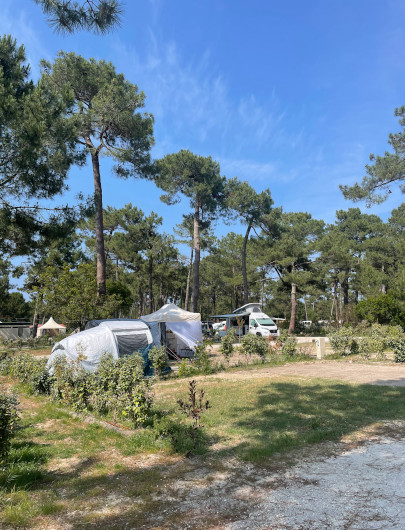 Parcela natural del camping Montacabana en Montalivet, para una experiencia auténtica de camping en Gironda