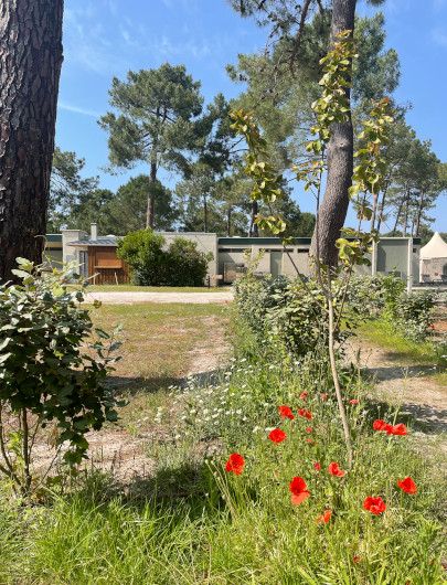 Parcela natural del camping Montacabana en Montalivet, para una experiencia auténtica de camping en Gironda